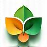 Icon pentru design integrat: wellness + sustenabilitate + funcționalitate